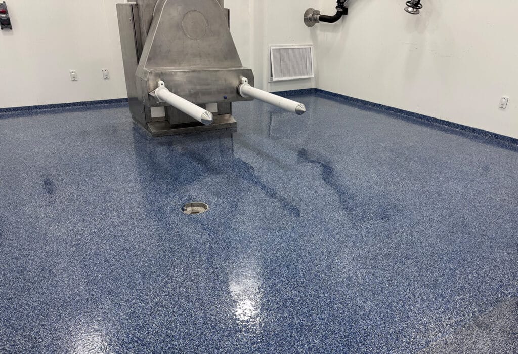 Clean Room - Flake Epoxy